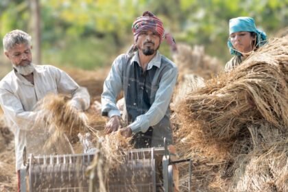 The Hormuz Fertilizer Squeeze: What It Means for Bangladesh’s Farms and Food Prices