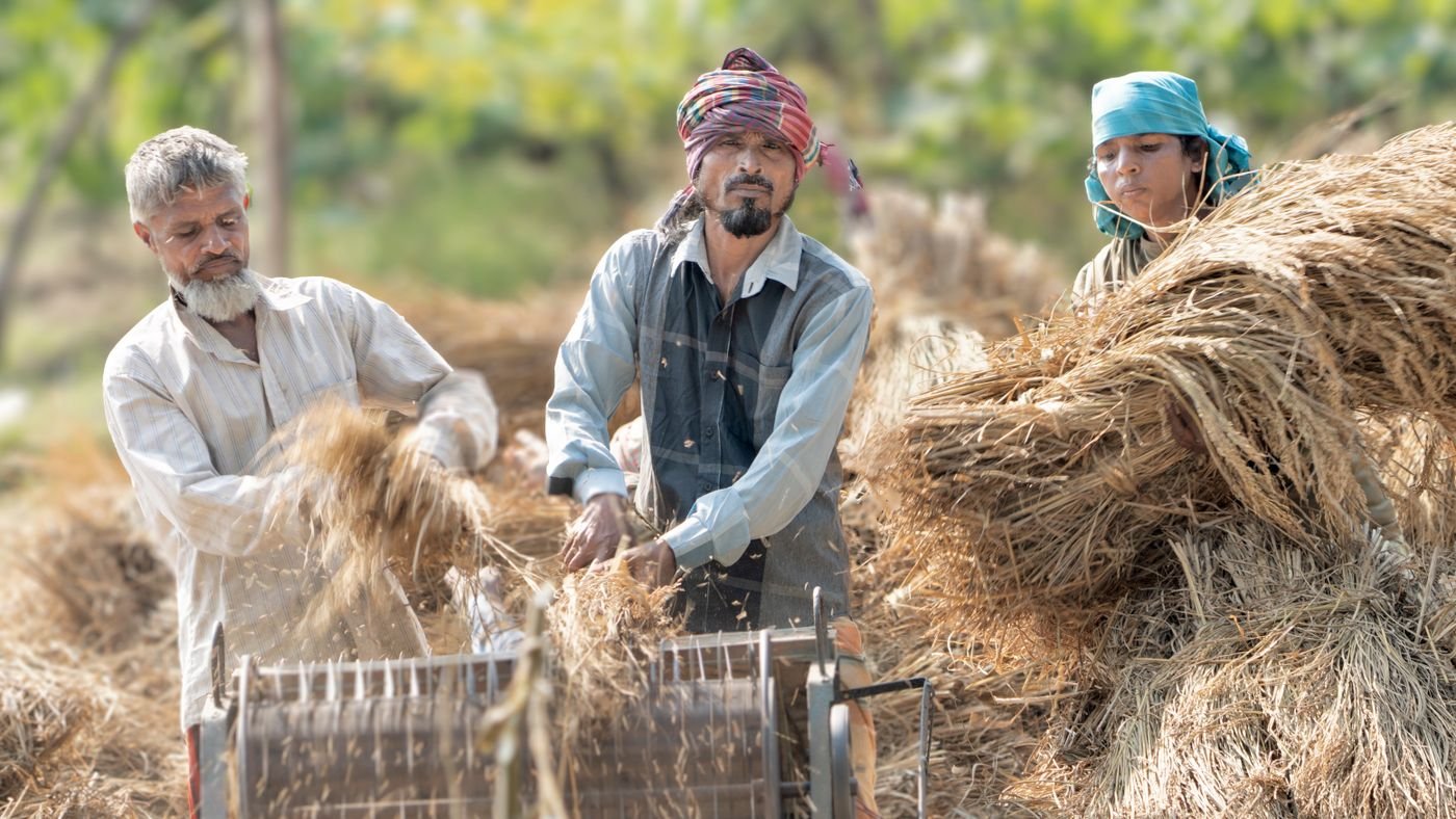 The Hormuz Fertilizer Squeeze: What It Means for Bangladesh’s Farms and Food Prices